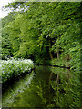 Canal north-east of Wolverley, Worcestershire