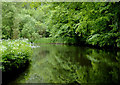 Canal north-east of Wolverley, Worcestershire