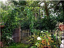 SU7582 : Henley-on-Thames, garden by Oxfordian Kissuth