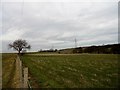 Looking towards Moor Leazes Farm from the south.