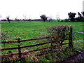 Sheridan Townland