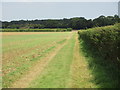 SK5477 : Footpath to Burnt Leys and Steetley by Jonathan Thacker