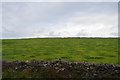 Pasture, Tideswell Dale