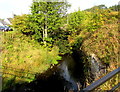 Infant Afon Lwyd upstream from Aaron Brute