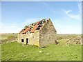NZ0647 : Farmhouse ruin at Fell Close by Robert Graham