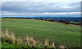 Field south of Sacriston