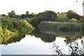 River Kennet joins the Kennet & Avon Canal