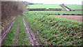 Fields by High Noon Lane