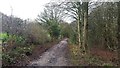 Path, Clifton Country Park