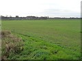 York farmland, south of High Roans Farm [1]