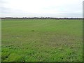 York farmland, south of High Roans Farm [2]