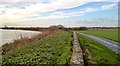 Flood bank and wall beside River Trent