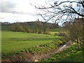 Crossford Burn