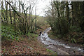 Track above Combe