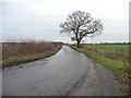 SE6062 : Carr Lane, near Goose Wood by Christine Johnstone