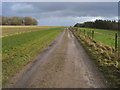 Wessex Ridgeway bridleway