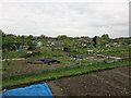 Allotments by The Avenues