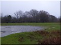 A damp car park on Roborough Down