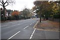 View along Alexandra Road