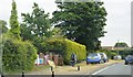 Roadside sale, Brantham