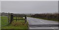 Cattle grid on Callisham Down