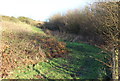 Bridleway above Yard Coal Rise, B4251