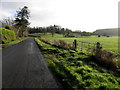 Rossfad Road, Whitehill South