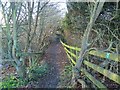 Footpath alongside Priesthorpe Farm