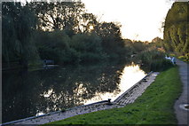 SU5066 : Kennet & Avon Canal by N Chadwick