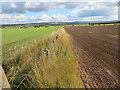 Field dividing boundary at Over Roxburgh Triangulation Pillar