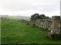 Wall-side view from Orchardhill Triangulation Pillar