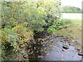 Catlee Burn viewed from the bridge at Forkins