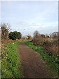 TL2044 : Biggleswade footpath by Dave Thompson