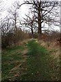 Footpath near Biggleswade