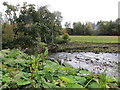 Hermitage Water at South Greenholm Farm