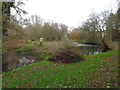 Pond by the Copcut Stream, Droitwich (3)