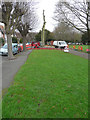 Tree felling, Radnor Park