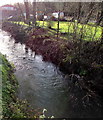 Nailsworth Stream in Woodchester