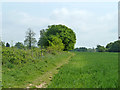 Footpath towards Fordcombe Road