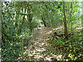 Footpath to Ashurst Road (A264)