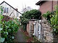 Alley behind the Alton Street Surgery