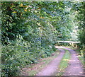 Cockpit Hill Vicinity, Calverton, Notts.