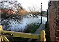 River  Derwent  in  flood  at  Malton  27th  Dec  2015  (2)