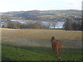 Pen isaf Dyffryn Conwy / The lower Conwy Valley