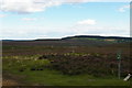 SE6093 : East Moors: view across Bonfield Gill to the hill above Birk Nab Farm by Christopher Hilton