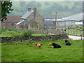 Farm south-east of Bradnop, Staffordshire