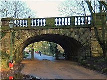 SD5328 : Ivy Bridge viewed from Miller Park, Preston by Adam C Snape