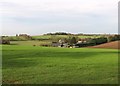 Hildersham: towards Rectory Farm