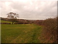 Farmland Overlooking Walton-on-Trent