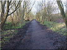 SD5427 : View along the cycle path towards the site of  the proposed link road bridge by Adam C Snape